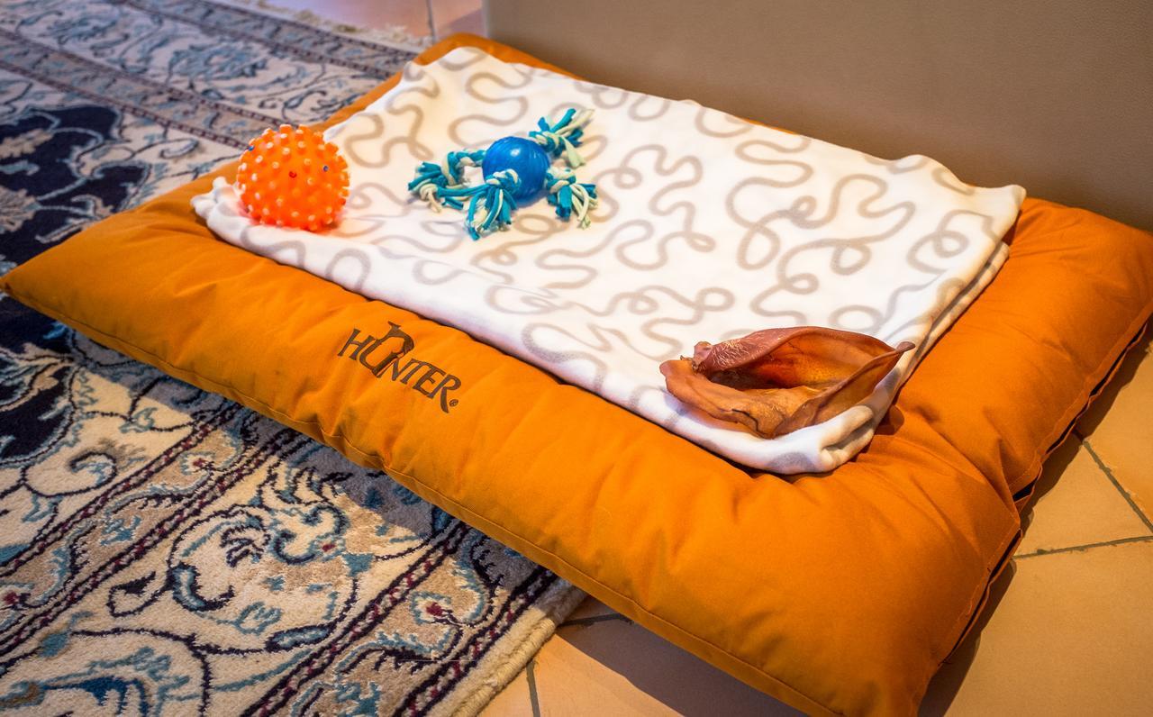 Chalet Verwall Luxury Apartments Lech Εξωτερικό φωτογραφία